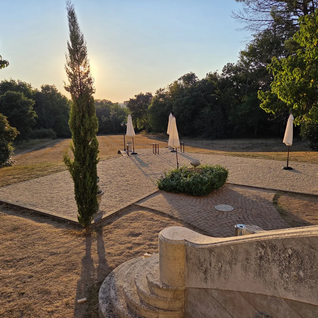 The back terrace, its formal beds and its cypress at sunset