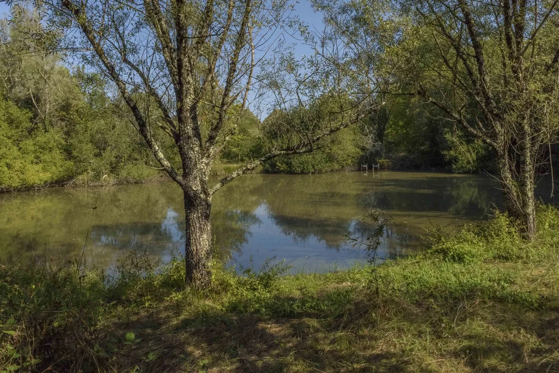 One of the two lakes in the park